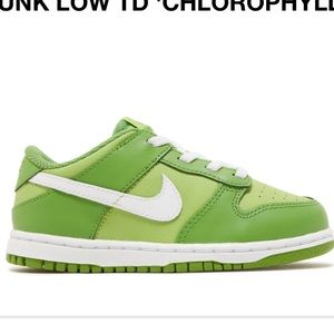 Baby Dunks , Size 3c, Brand New , has box and everything